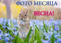 12976512t1h3e4e.jpg.bf46ec77e2d08ca24d1ce6884753aacc.jpg.0e1d0bd2453209cd7b4995f712006864.jpg 12976512t1h3e4e.jpg.bf46ec77e2d08ca24d1ce6884753aacc.jpg.0e1d0bd2453209cd7b4995f712006864.jpg