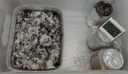 IMG_20220409_070600.jpg