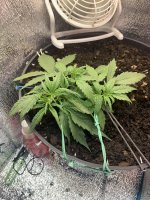 IMG_8858.JPG