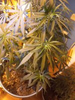 photo_2022-06-05_12-43-51 (2).jpg