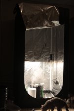 _MG_2900.JPG