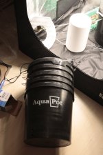 _MG_2901.JPG