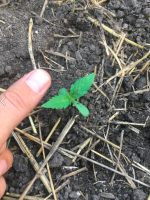 Снимок экрана 2022-07-07 в 23.59.45.png