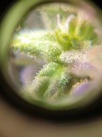 20220712_121946.jpg