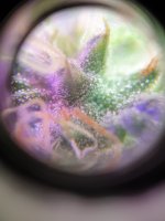 20220712_121853.jpg