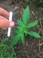 Снимок экрана 2022-07-14 в 22.44.39.png