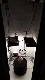 20220715_215012.jpg