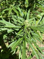 photo_2022-07-30_18-20-27 (2).jpg