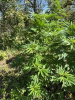 photo_2022-07-30_18-20-31 (2).jpg