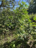 photo_2022-07-30_18-20-31 (3).jpg