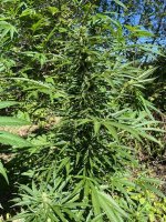 photo_2022-07-30_18-20-31 (4).jpg