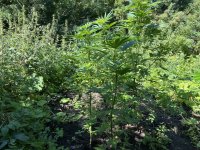 photo_2022-07-30_18-20-31 (5).jpg