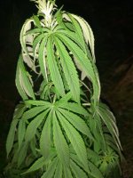 20220807_221858.jpg