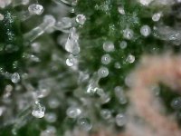 Snapshot000001 - Copy.jpg