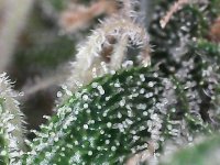 Snapshot000002 - Copy.jpg