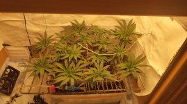 P20814-102114.jpg