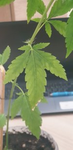 20220824_073259.jpg