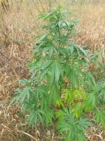 20220904_125349.jpg