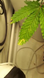 20220906_011537.jpg