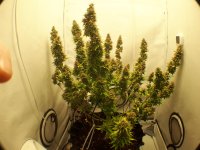 20220929_011543.jpg