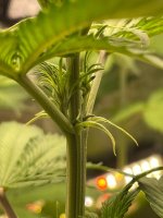 photo_2022-10-14_17-47-17 (2).jpg