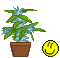 default_gallery_103797_270_3617.gif