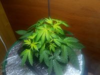 3е ноября.jpg