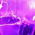 20221211_201831.jpg