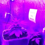 20221215_190321.jpg