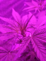 image-2022-12-20 20_36_50.jpg