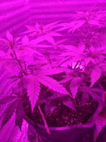 image-2022-12-20 20_36_50 (1).jpg