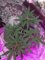 image-2022-12-20 20_36_48.jpg