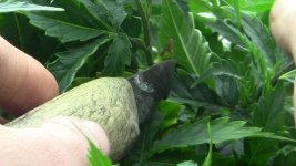 photo_2021-10-06_23-11-52 (2).jpg