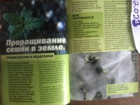 04915B2C-5660-4C9E-8071-1AF99FB03C99.jpeg