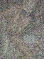 fb204a0727.jpeg.jpg fb204a0727.jpeg.jpg