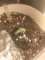 photo_2023-02-17_01-50-57 (3).jpg