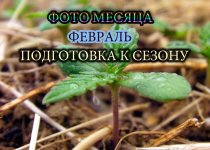 nopli-min.jpg.c9cd6db65faa0fba5fe4f00e97aab837.jpg