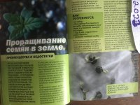 04915B2C-5660-4C9E-8071-1AF99FB03C99.thumb.jpeg.ff47a70a4802c4f8ad84cb55e7b1d1cc.jpeg