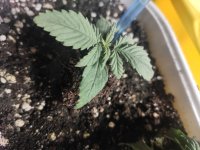 photo_2023-03-12_21-51-09 (2).jpg