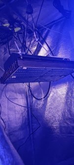 IMG_20230315_020731.jpg