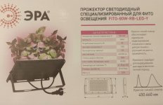 0 — копия.jpg