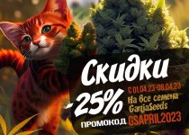 rus 25%  2023 -700-500  r.jpg