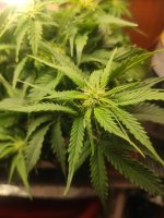 photo_2023-04-03_14-10-28 (2).jpg