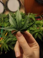 photo_2023-04-06_12-08-35 (3).jpg