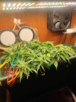 photo_2023-04-06_12-08-35 (4).jpg