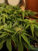 photo_2023-04-06_12-08-35 (2).jpg