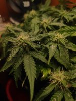 photo_2023-04-12_14-36-34 (3).jpg