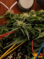 photo_2023-04-12_22-25-50 (2).jpg