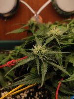 photo_2023-04-12_22-25-48 (2).jpg