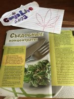 63F692E1-677B-4E0C-9FEA-8ED85CFBF2B0.jpeg